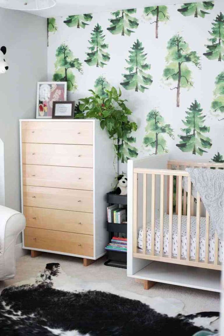 Forest Themed Nursery For Boy - HD Wallpaper 