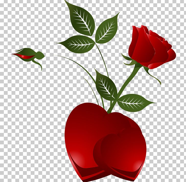 Rose Heart Png, Clipart, Blue Rose, Clipart, Color, - Roses Clipart Red Transparent - HD Wallpaper 