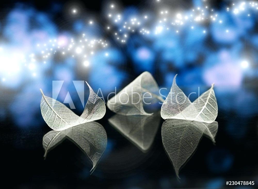 Fairytale Wallpaper Fairy Tail Natsu Wallpaper 4k Fairytale - Stock Photography - HD Wallpaper 