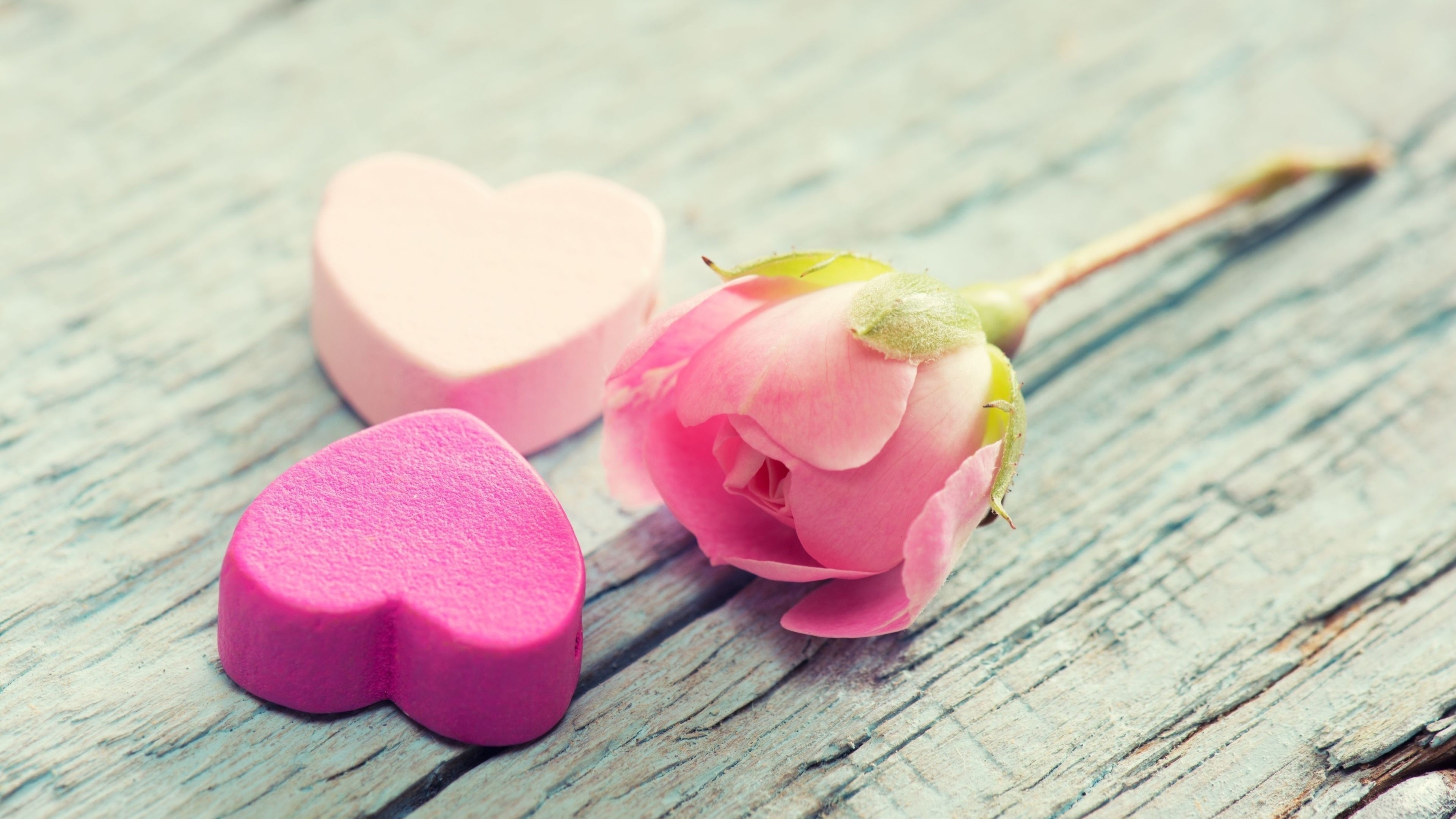 Love Full Hd Flowers - HD Wallpaper 