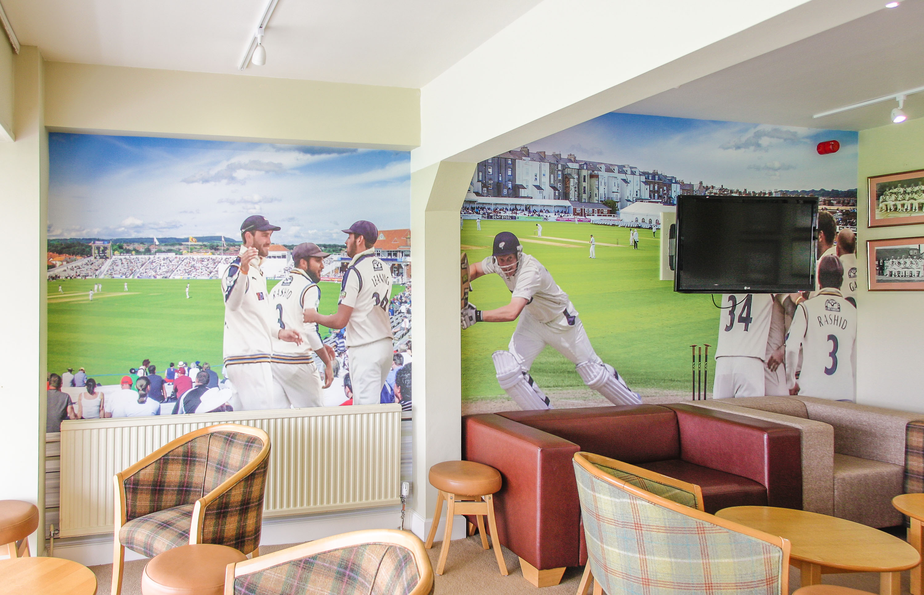 Custom Cricket Themed Wallpaper Mural - Cricket Wallpaper For Room - HD Wallpaper 
