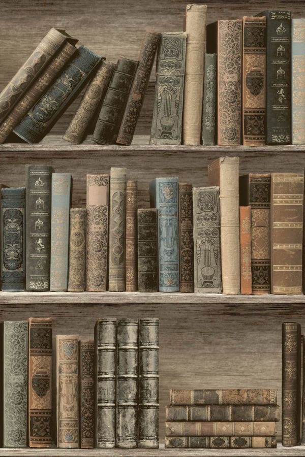 Aesthetic Old Bookshelf - HD Wallpaper 