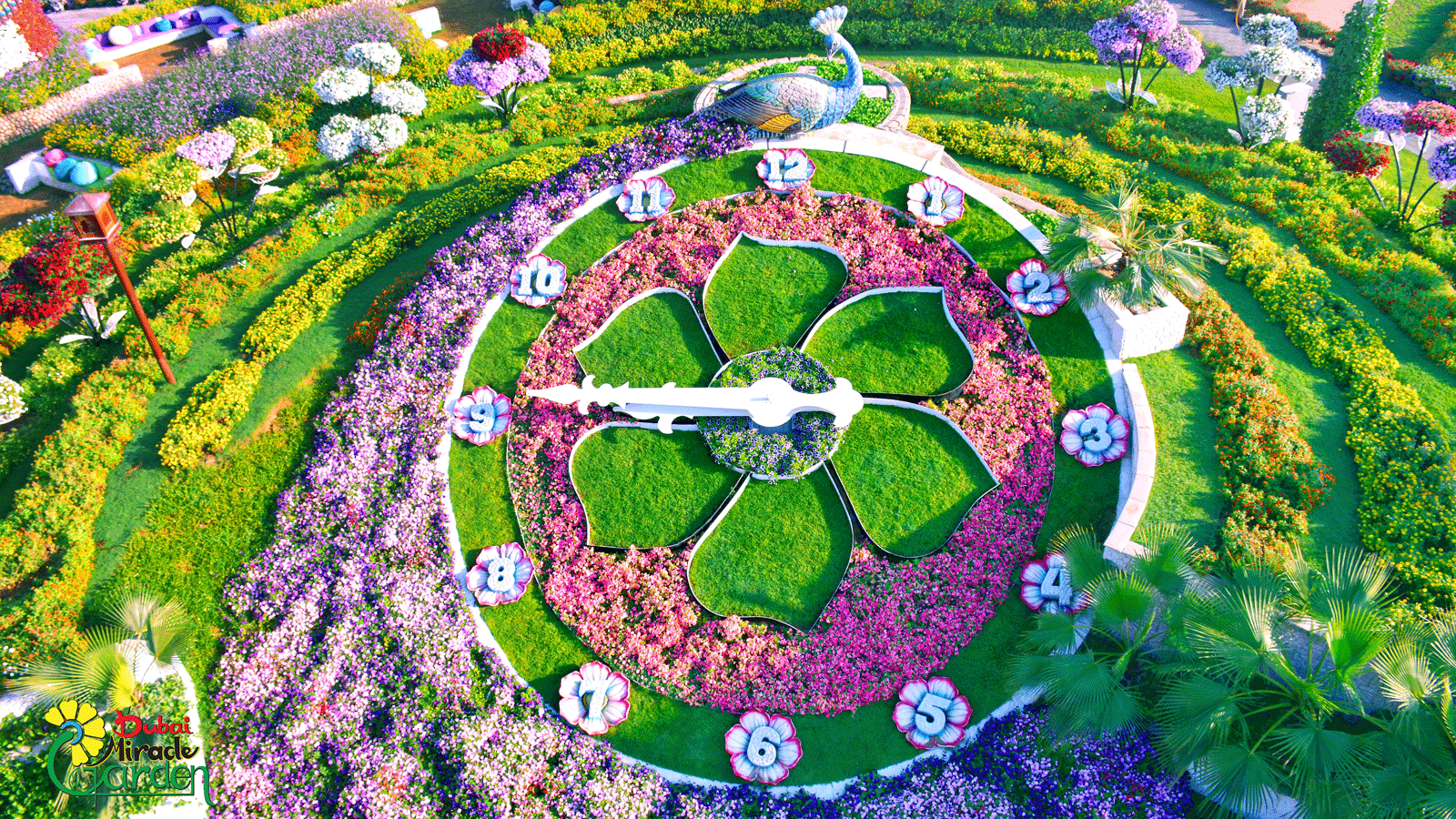 World Biggest Flower Garden 1600x900 Wallpaper teahub.io