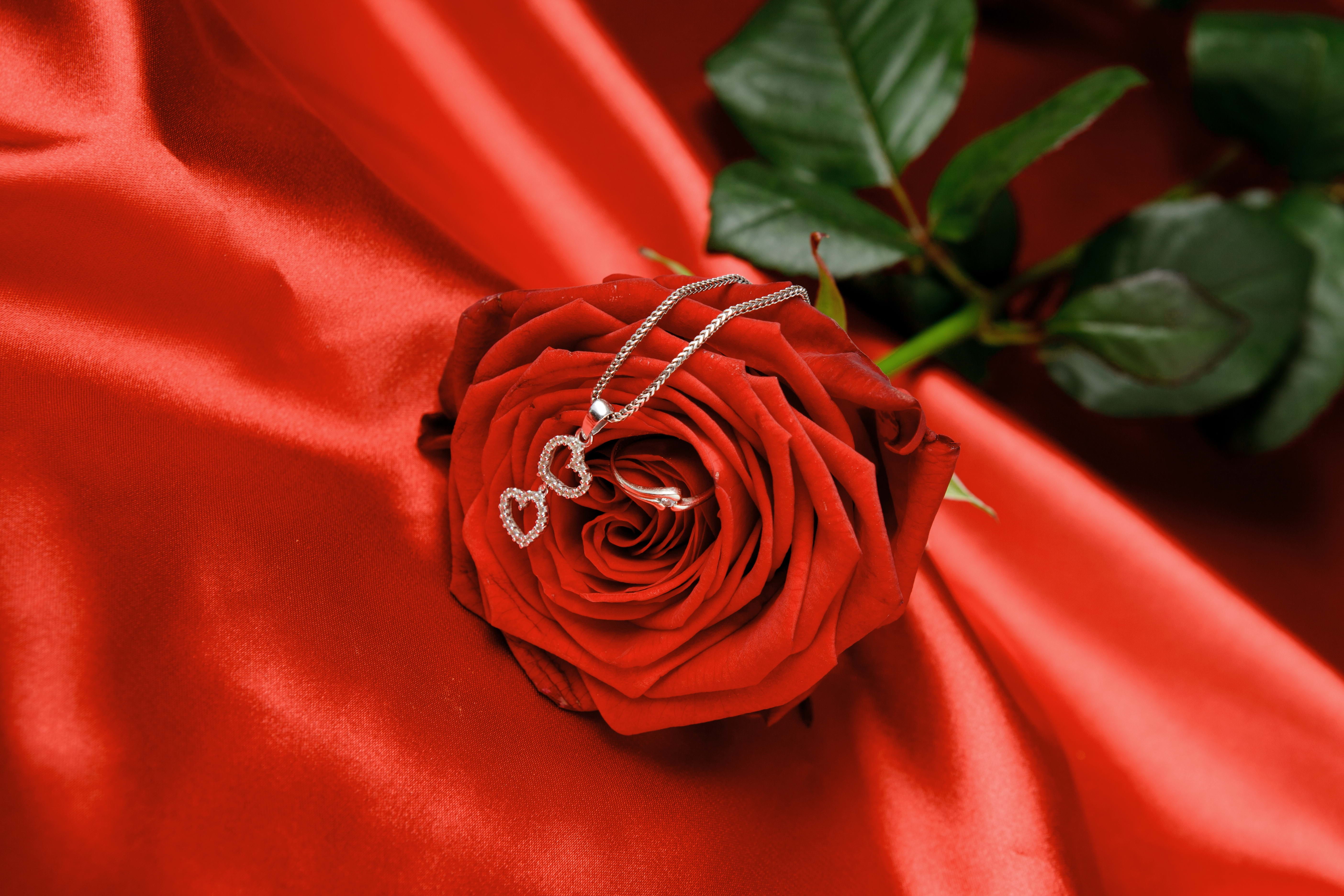 Happy Rose Day Images Download - HD Wallpaper 