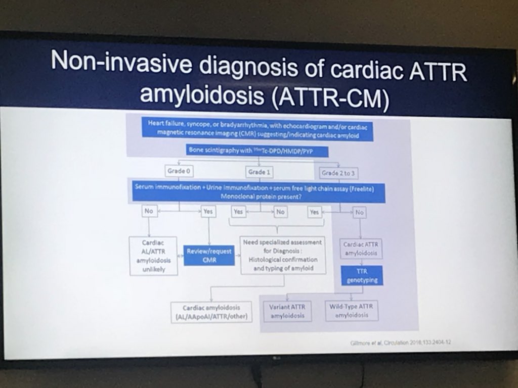 Display Device - HD Wallpaper 