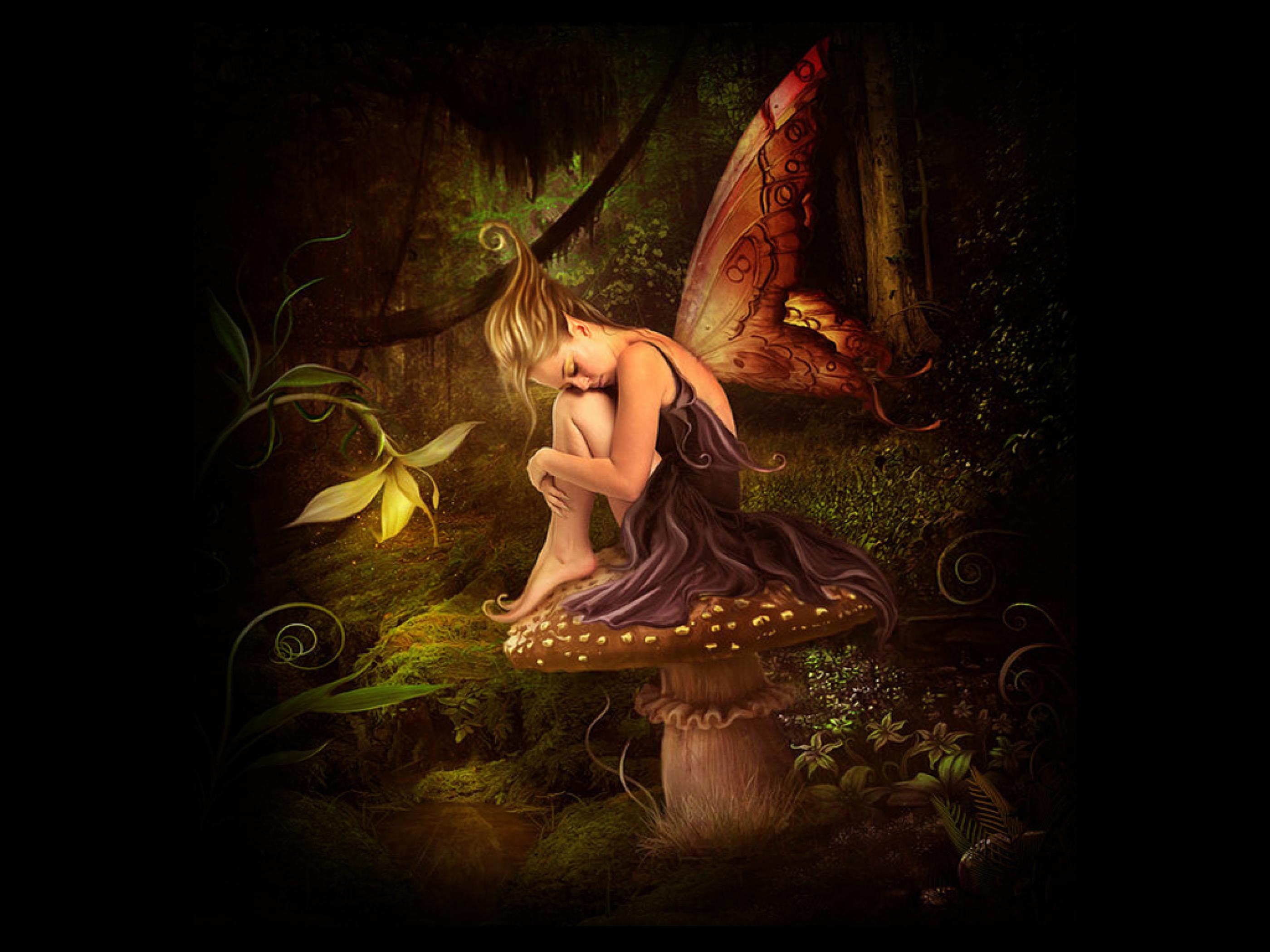 Fairy Pictures Wallpapers - HD Wallpaper 