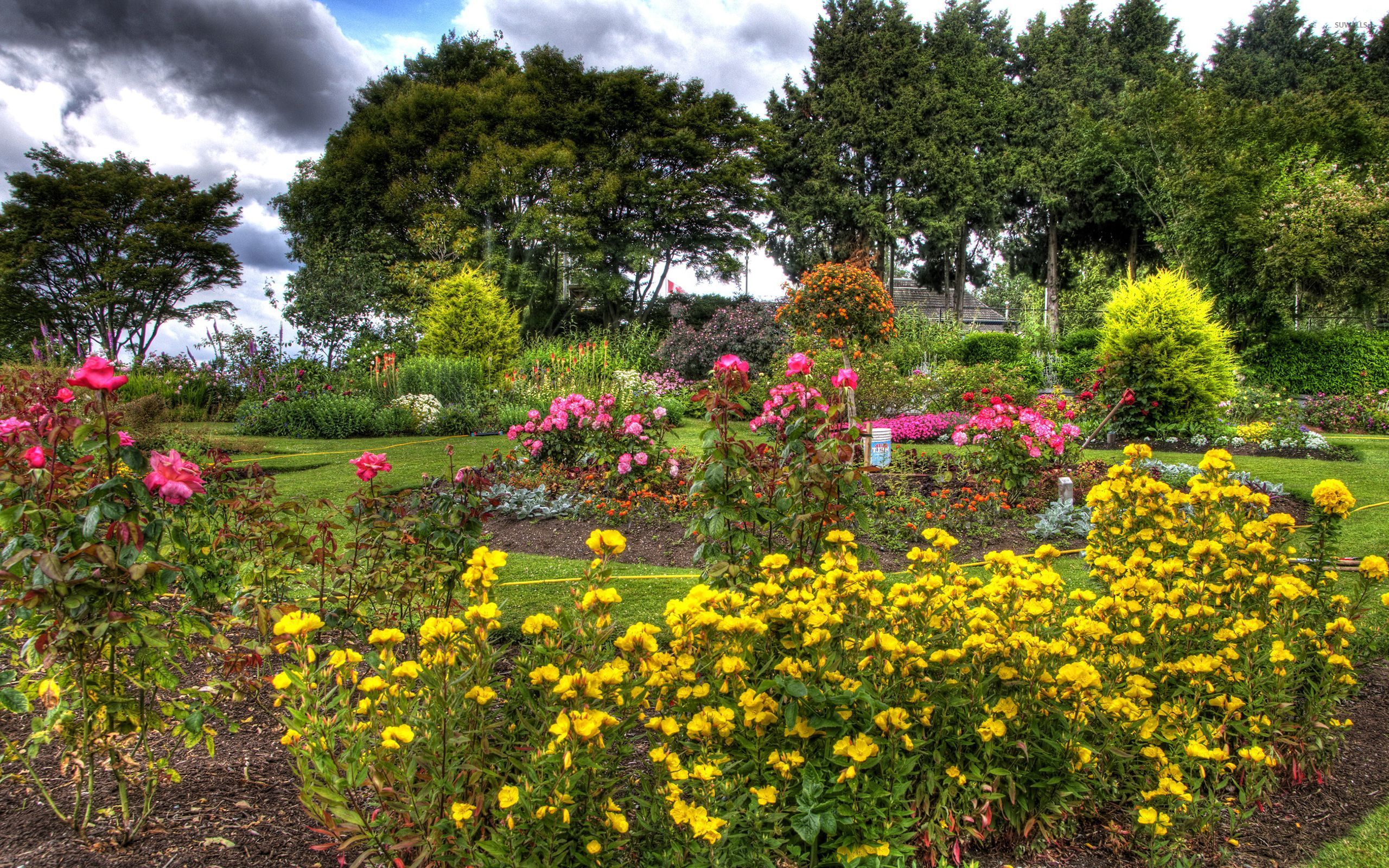 Nature With Beautiful Flowers 2560x1600 Wallpaper teahub.io