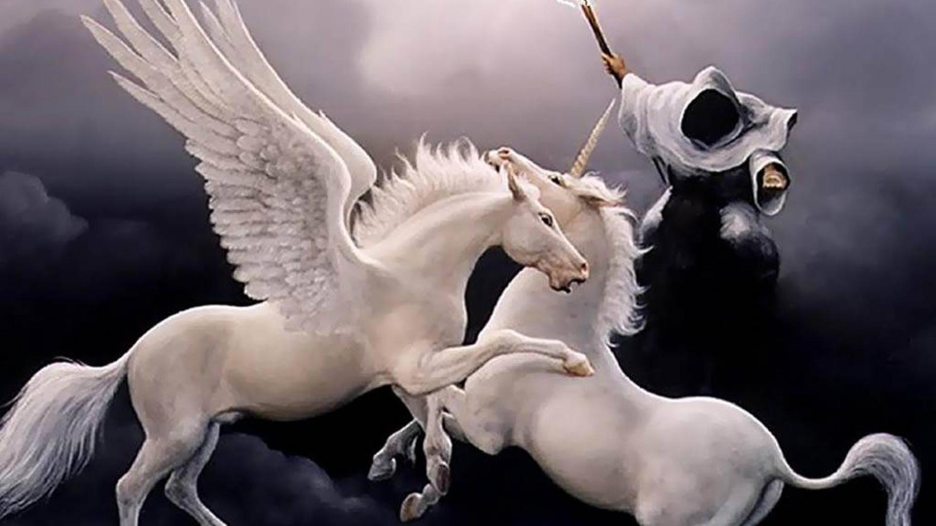 Pegasus And Unicorn Fighting - HD Wallpaper 