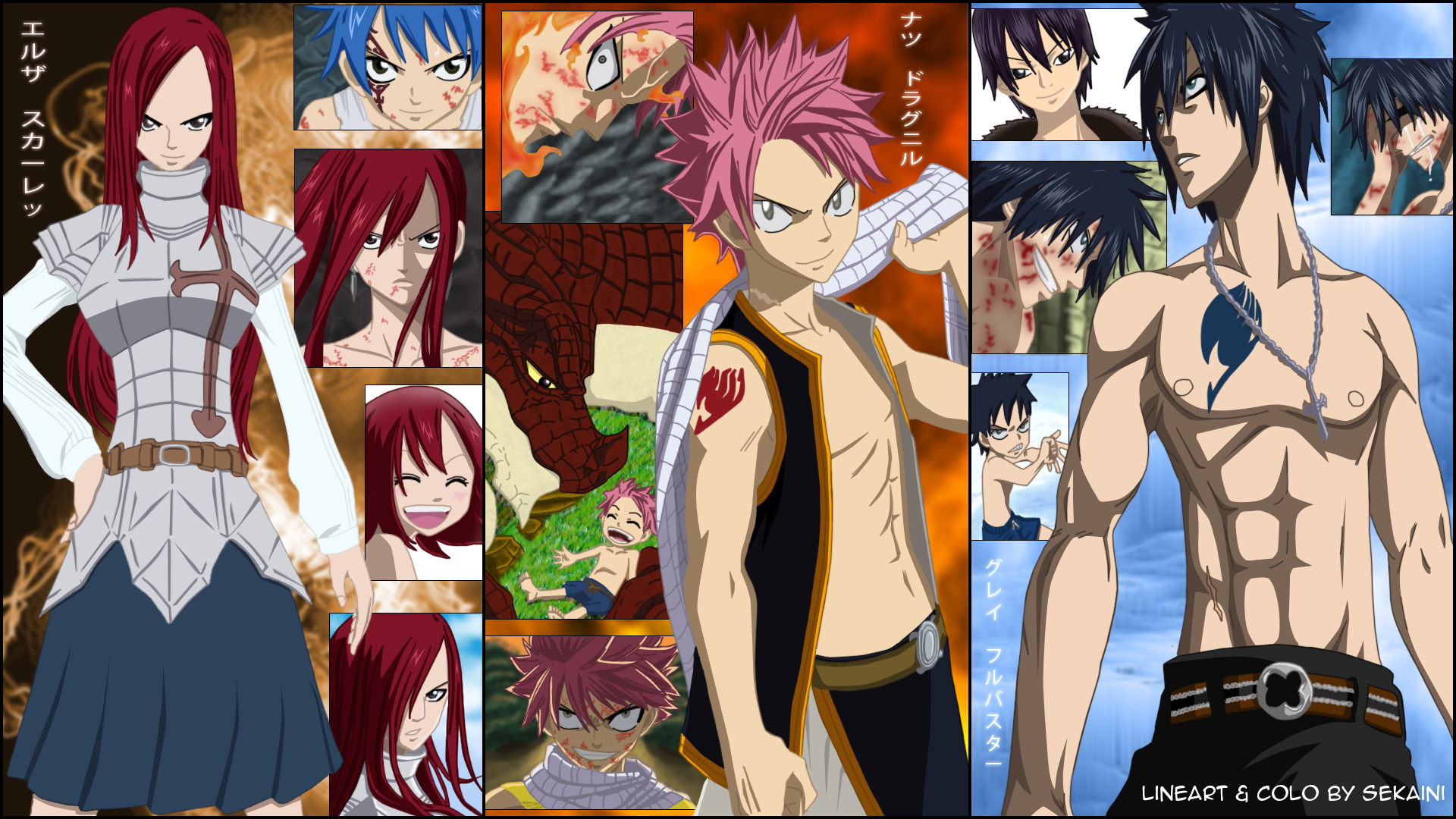 Fairy Tail - Fairy Tail Evolution Anime - HD Wallpaper 