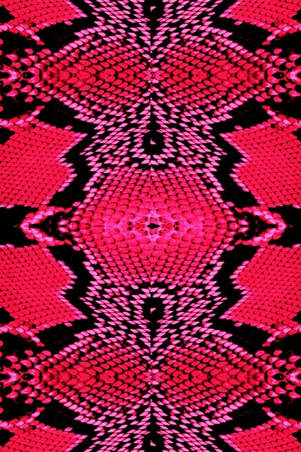 Snake Leather - HD Wallpaper 