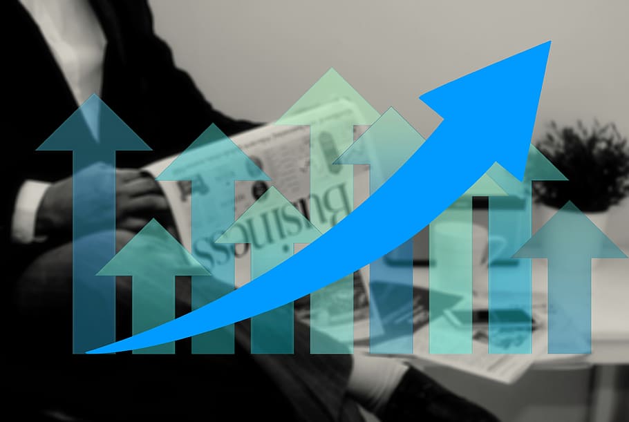 Business Logo, Entrepreneur, Idea, Competence, Vision, - Rozwój Firmy - HD Wallpaper 