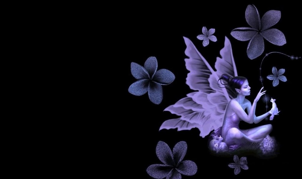 Fairy Purple And Black Background - HD Wallpaper 