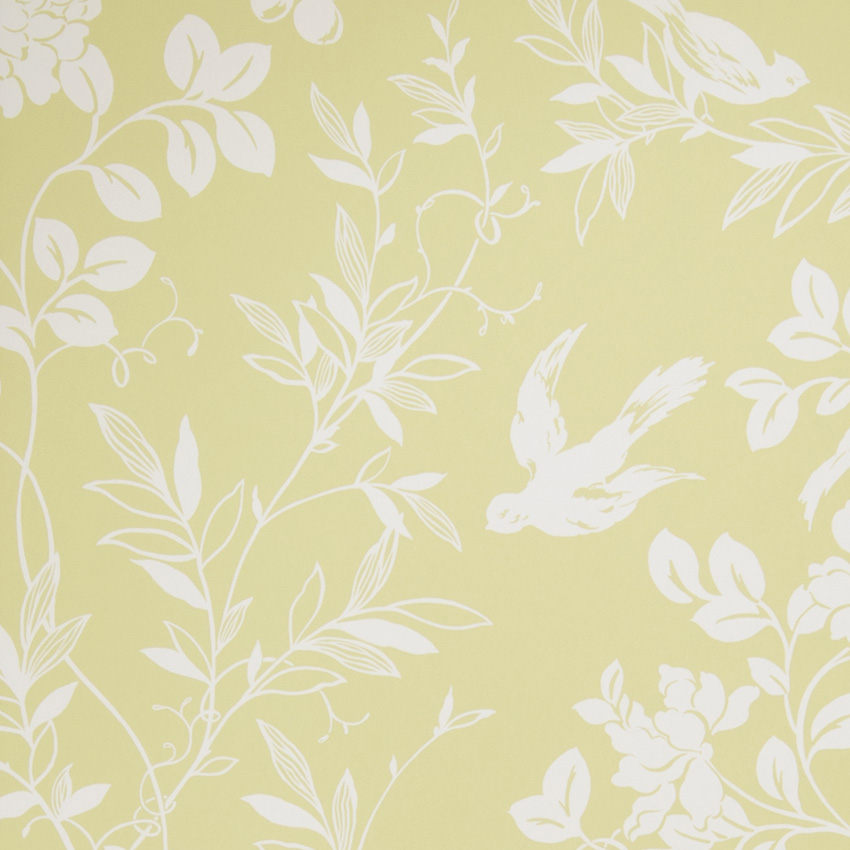 Wallpaper - HD Wallpaper 