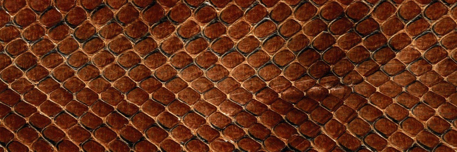 Snake Skin Wallpapers - Snakeskin Iphone - HD Wallpaper 