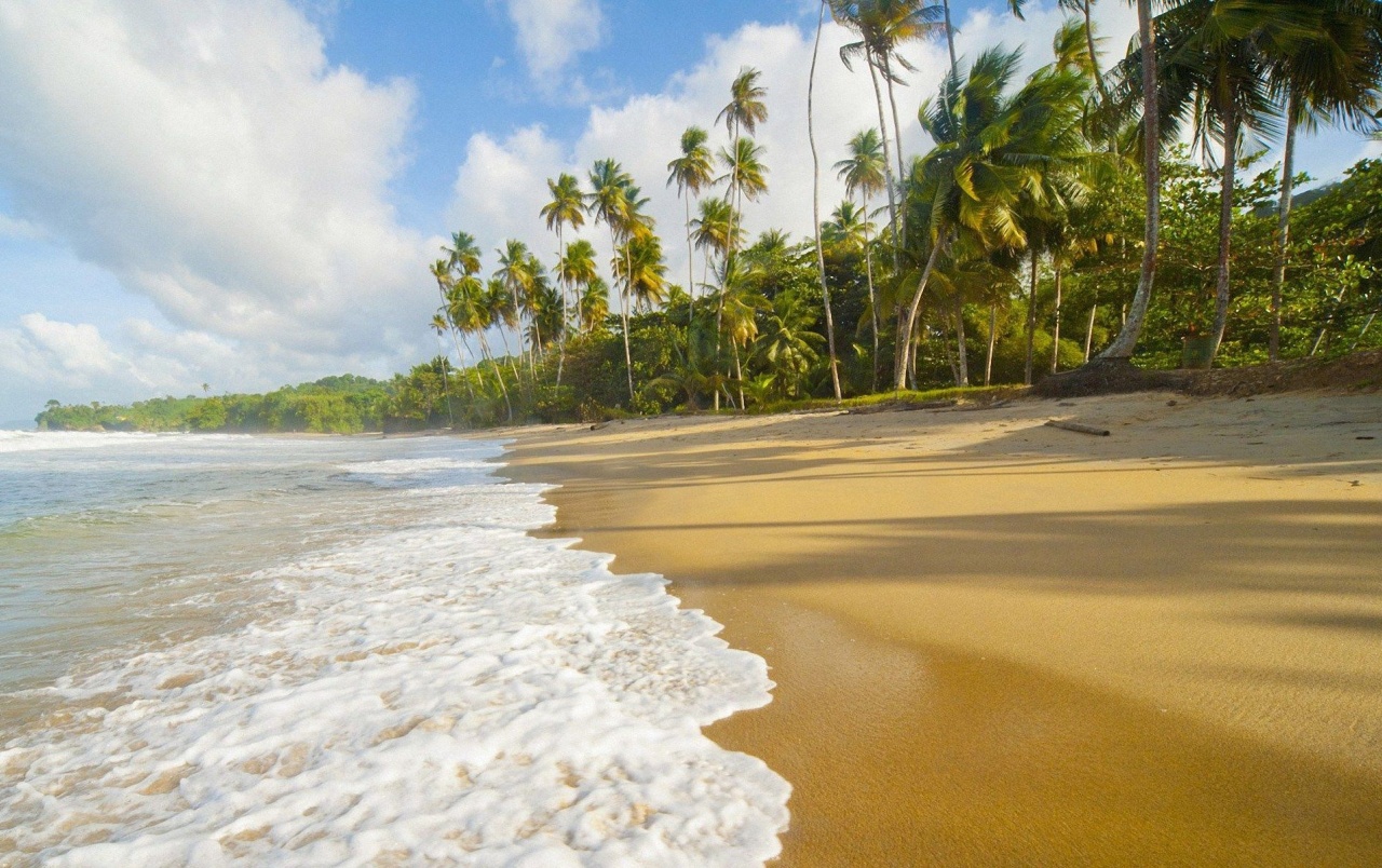 The Seashore Wallpapers - Trinidad Beach - HD Wallpaper 