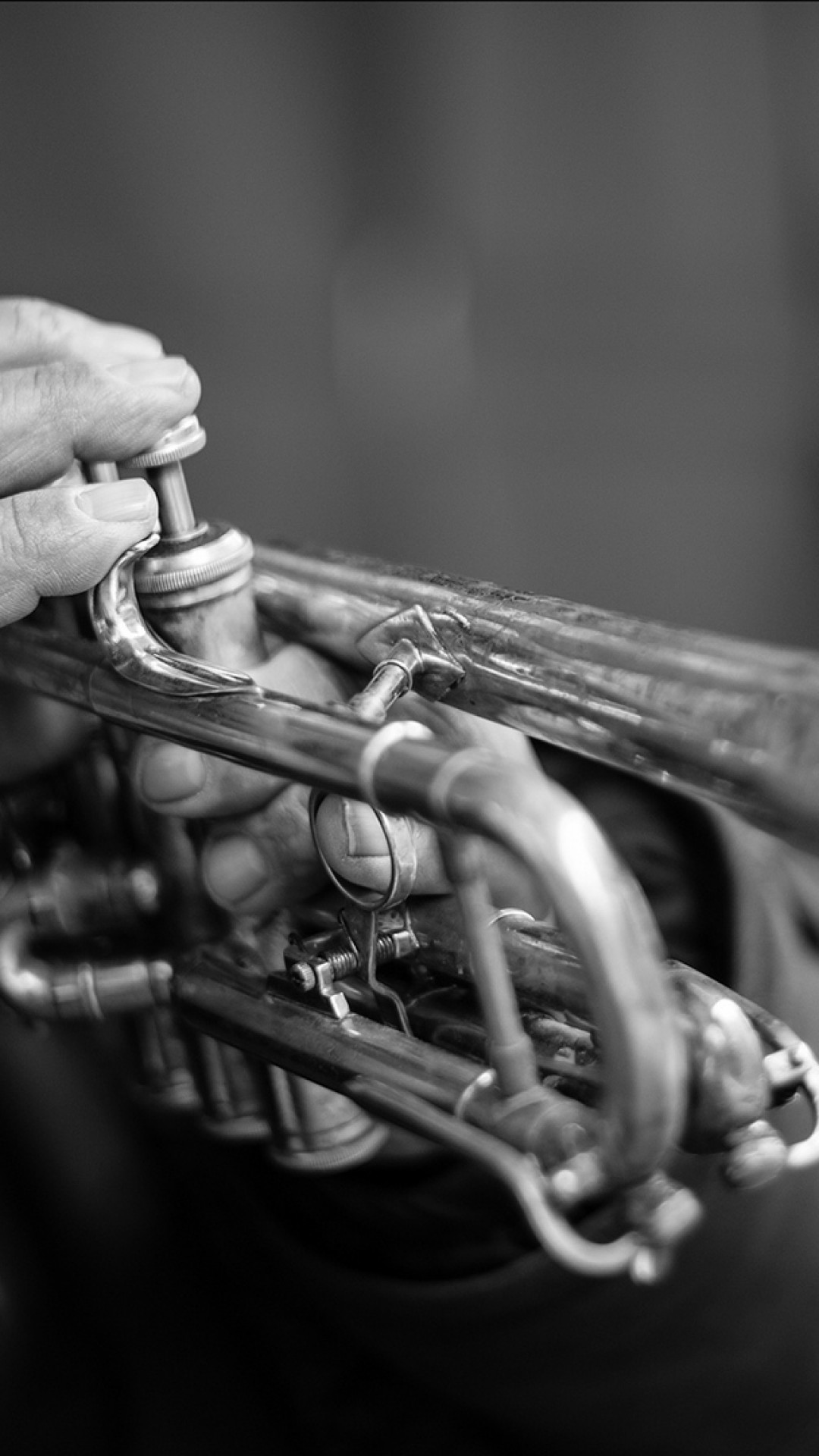 Trumpet, Instrument, Music, Monochrome - Black And White Trumpet Hd - HD Wallpaper 