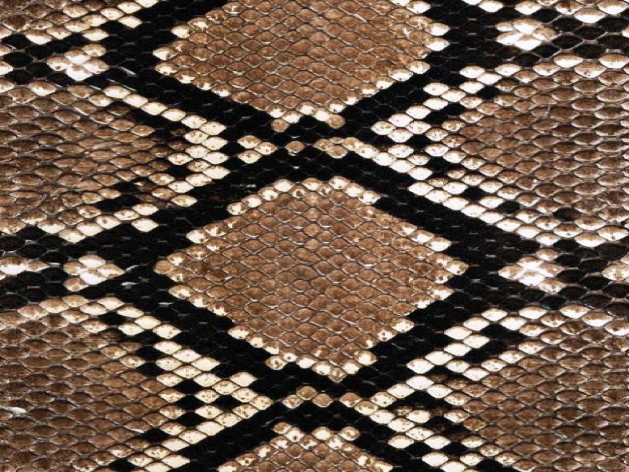 Faux Snakeskin Wallpaper Snake Skin - Snake Skin Wallpaper Iphone - HD Wallpaper 