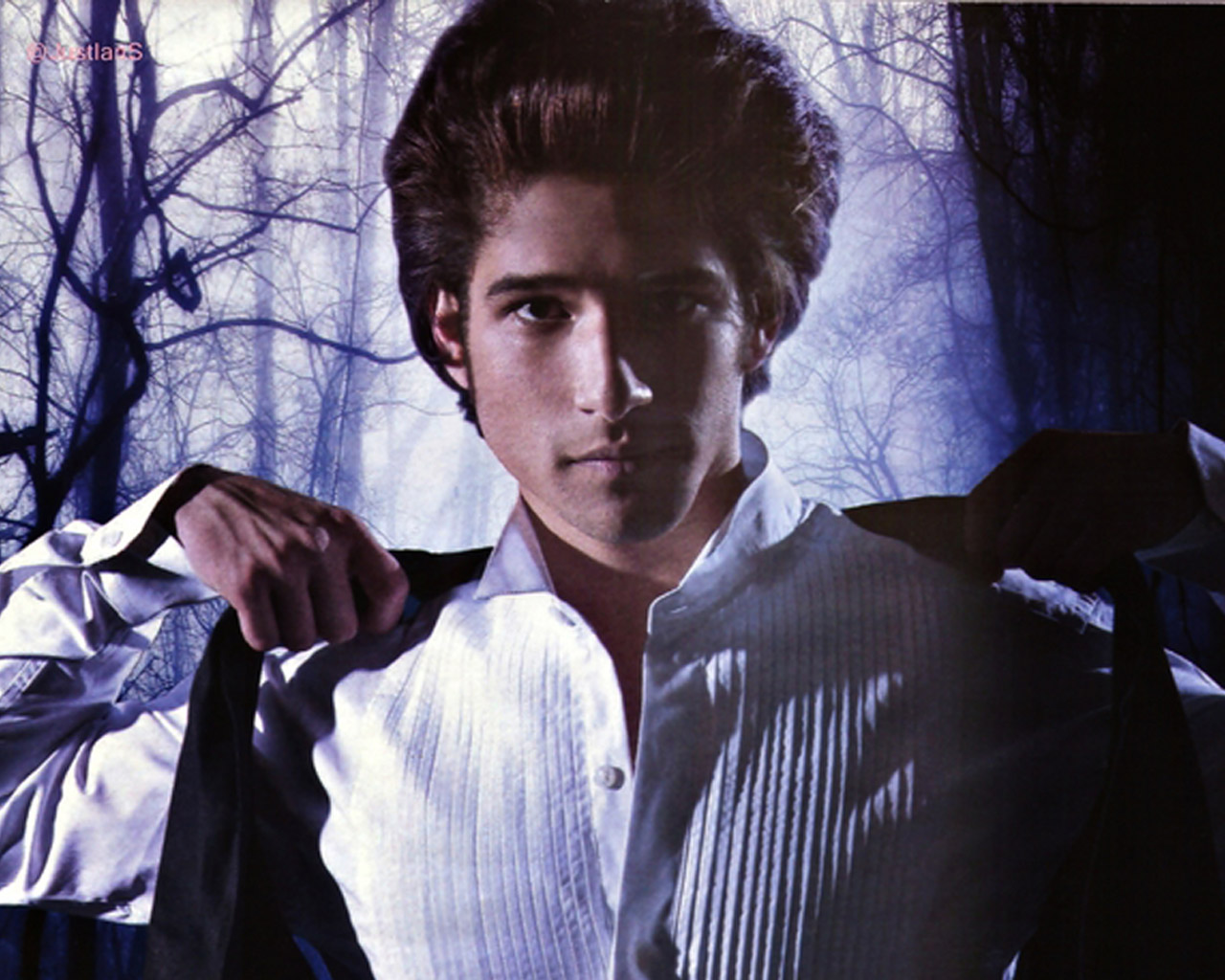 Tyler Posey - Wallpaper - HD Wallpaper 