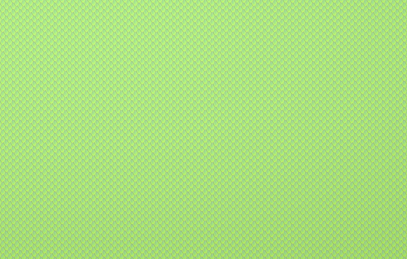 Photo Wallpaper Line, Scales, Scales, Snakeskin - Colorfulness - HD Wallpaper 