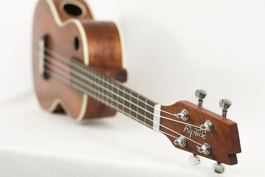 Brown Riptide Ukelele In Shallow Photo, Ukulele, Instrument, - グレース ヴァンダー ウォール ウクレレ - HD Wallpaper 