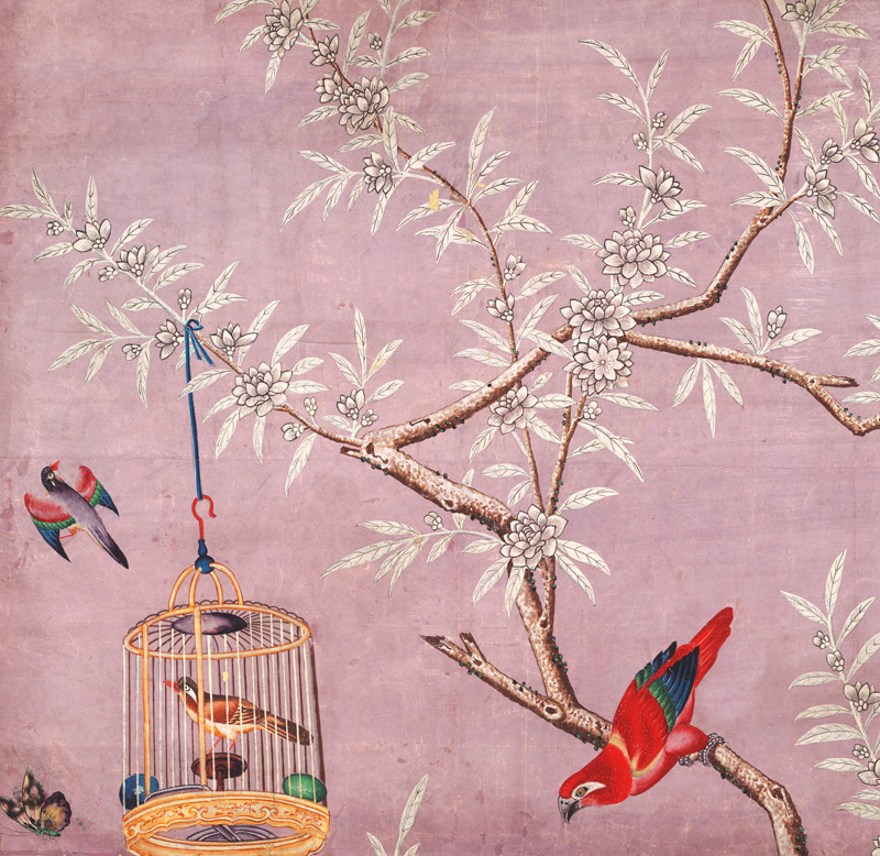 Bird In Cage - HD Wallpaper 