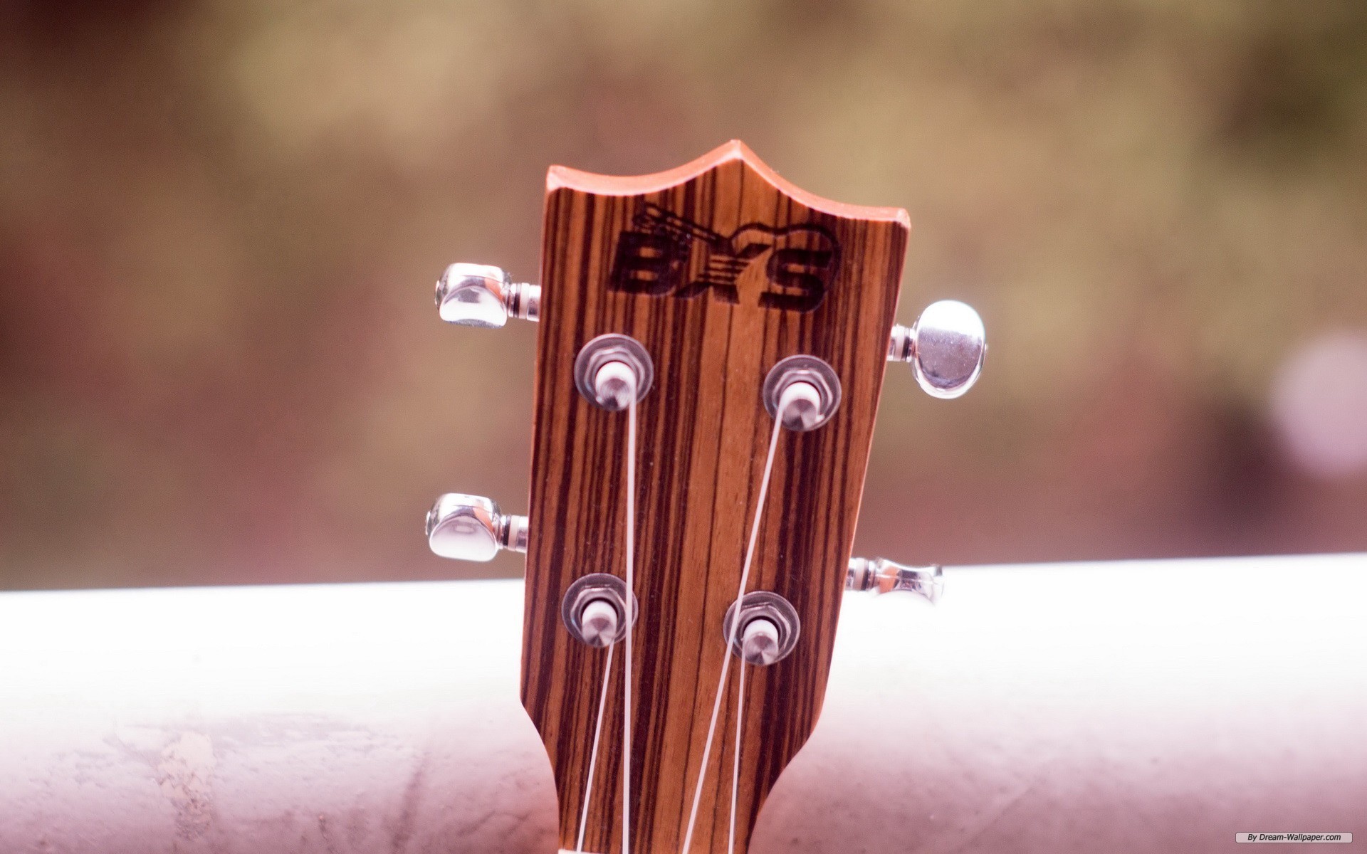 Free Photography Wallpaper - Wallpaper - HD Wallpaper 