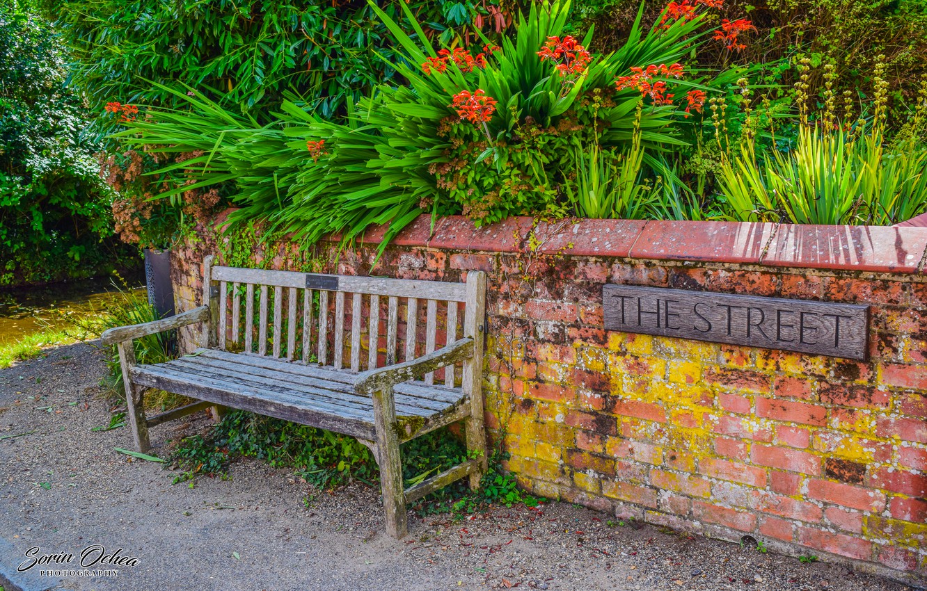 Photo Wallpaper Nature, Flowers, Strada, Lindsey, Bench, - Bench - HD Wallpaper 