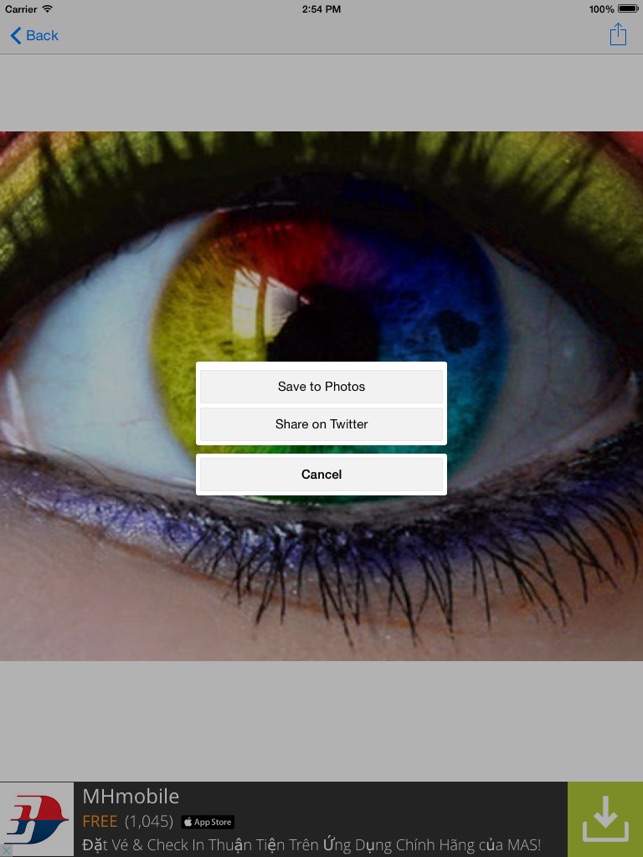 Lenti A Contatto Arcobaleno - HD Wallpaper 