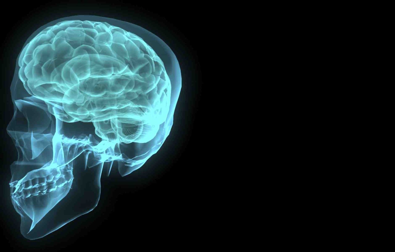 Photo Wallpaper Sake, Human, Medical, Science, X-ray - Nervous System Disease - HD Wallpaper 