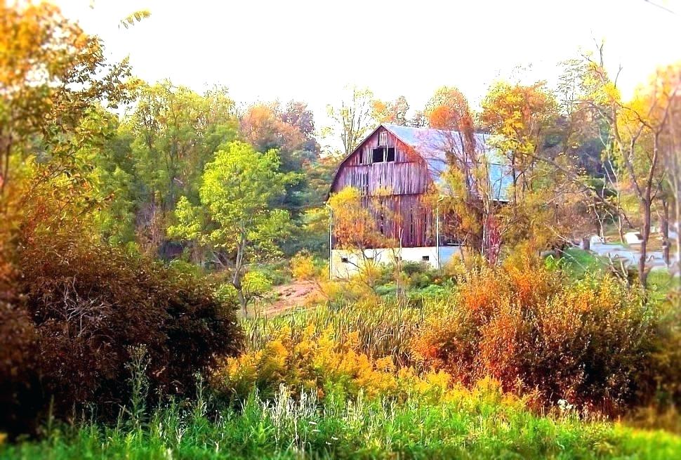 Country Wall Murals French Country Wallpaper Plus Country - Country Fall - HD Wallpaper 