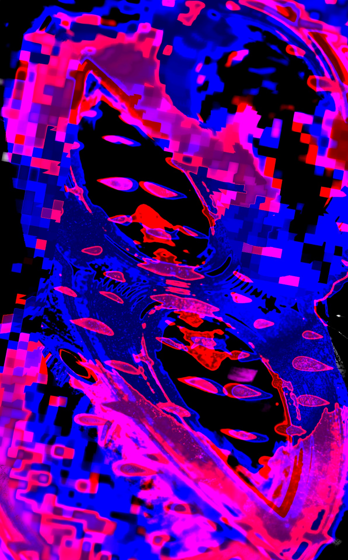 Bi Colors - HD Wallpaper 