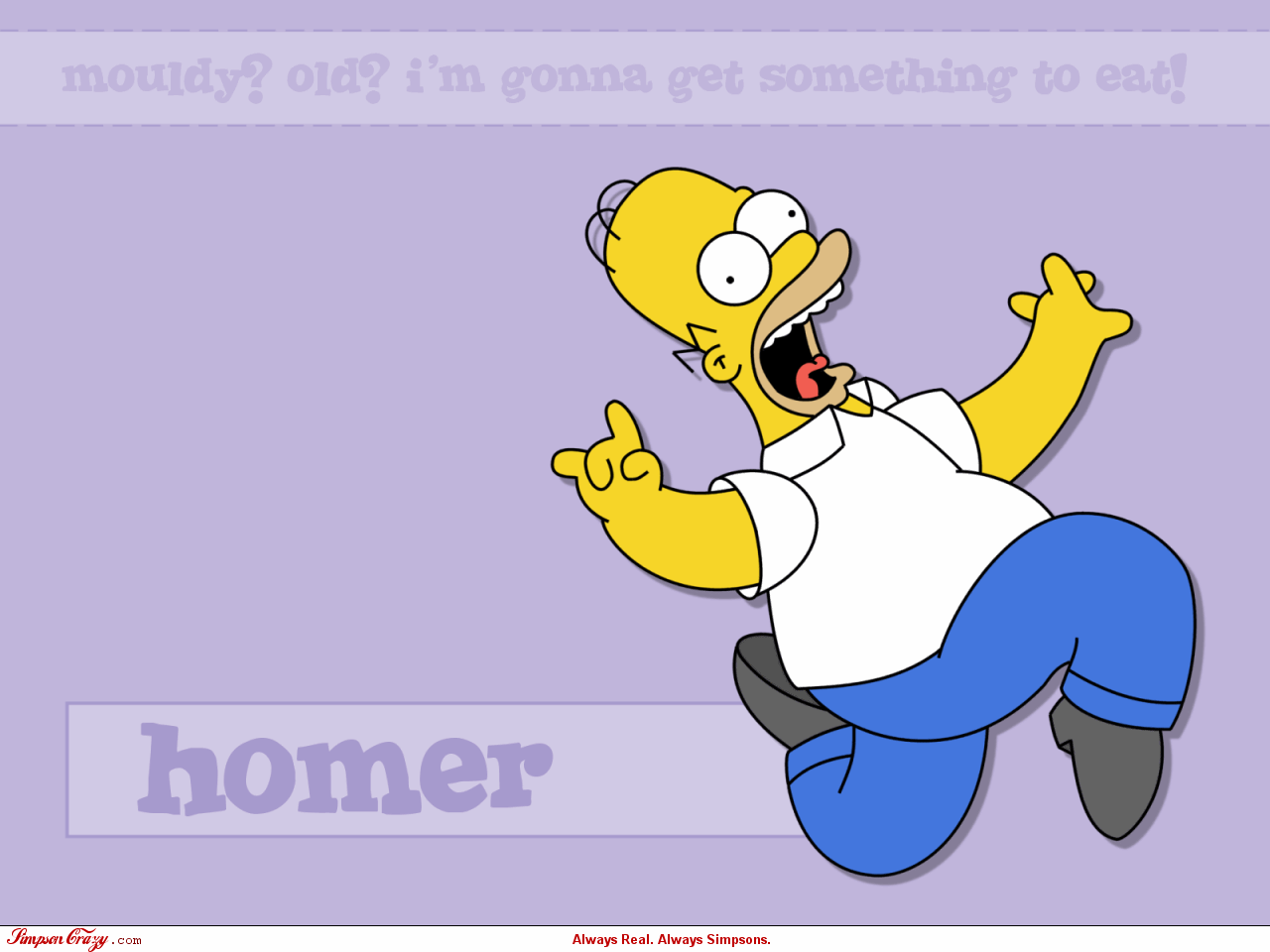 Homer Simpson - HD Wallpaper 
