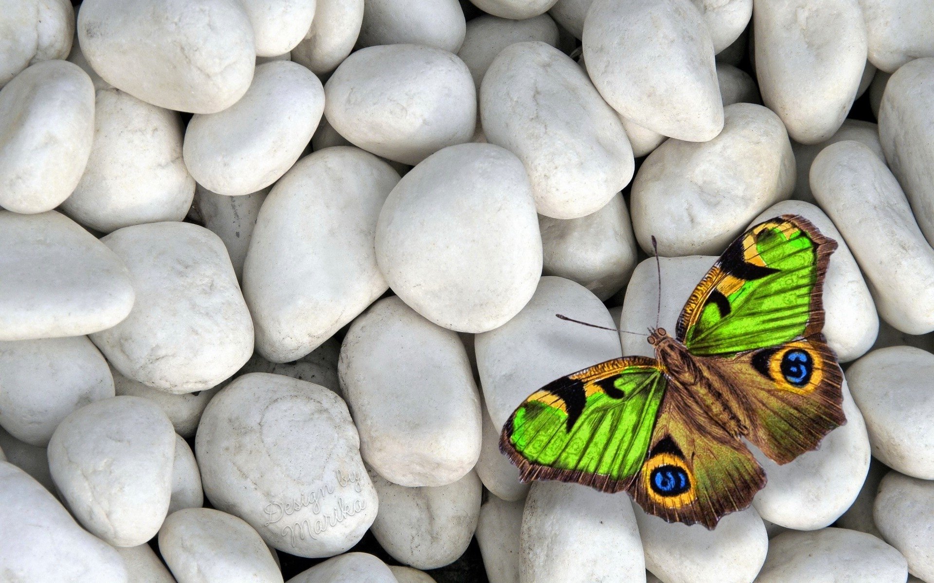 Green And Brown Butterflies - HD Wallpaper 