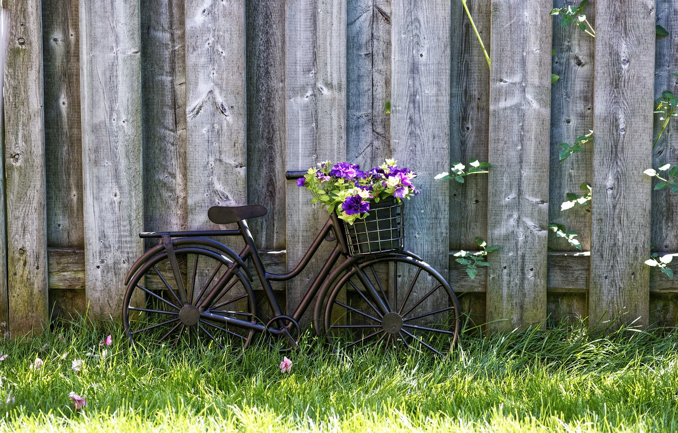 Photo Wallpaper Wallpaper, Grass, Bicycle, Bike, Wood, - Grass - HD Wallpaper 