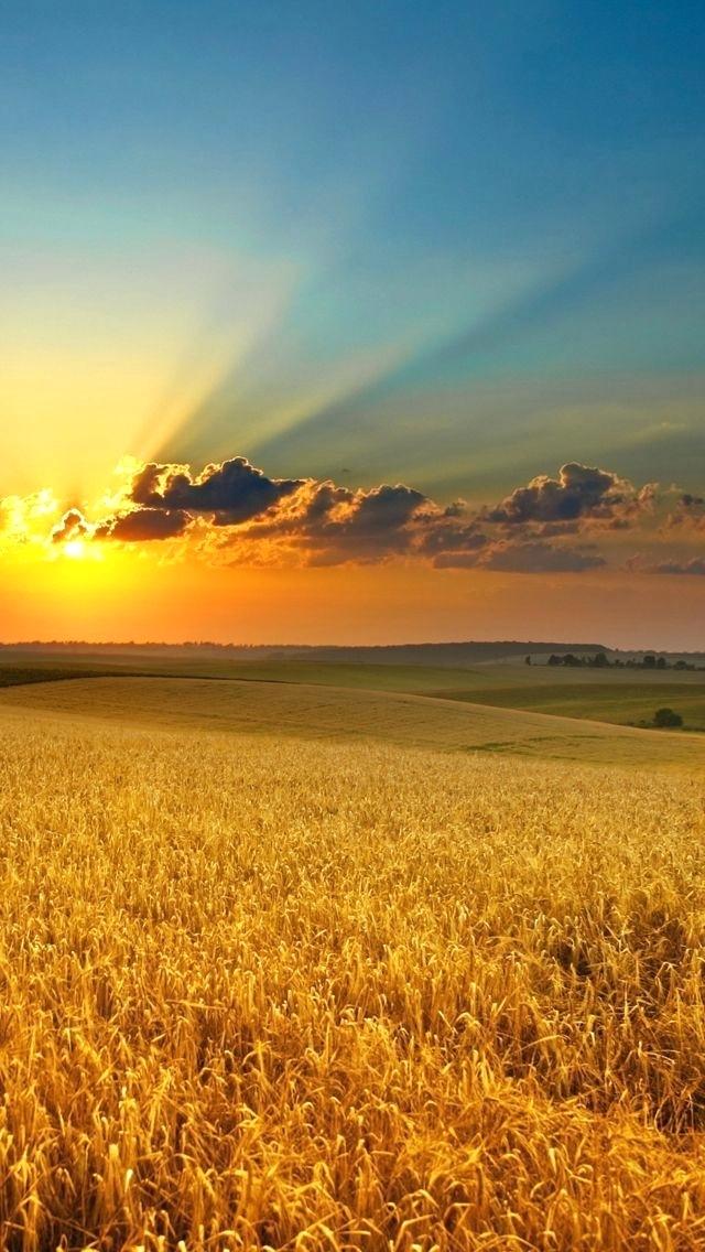 Iphone Wallpaper Fields - HD Wallpaper 