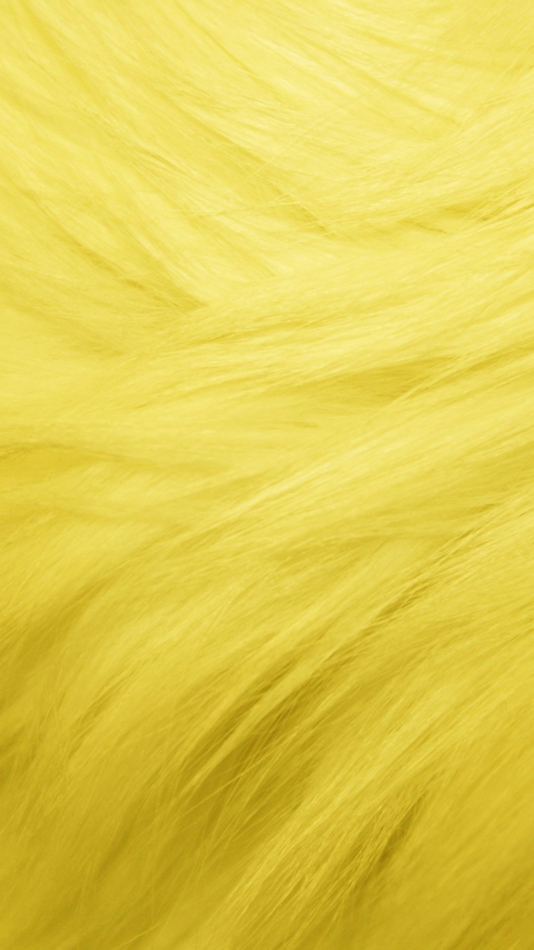Cute Yellow Fur Background - HD Wallpaper 