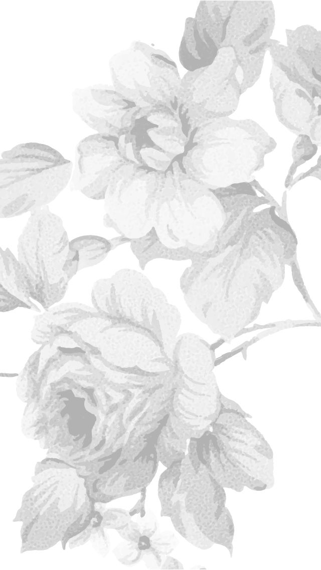 White Floral Wallpaper Phone - HD Wallpaper 