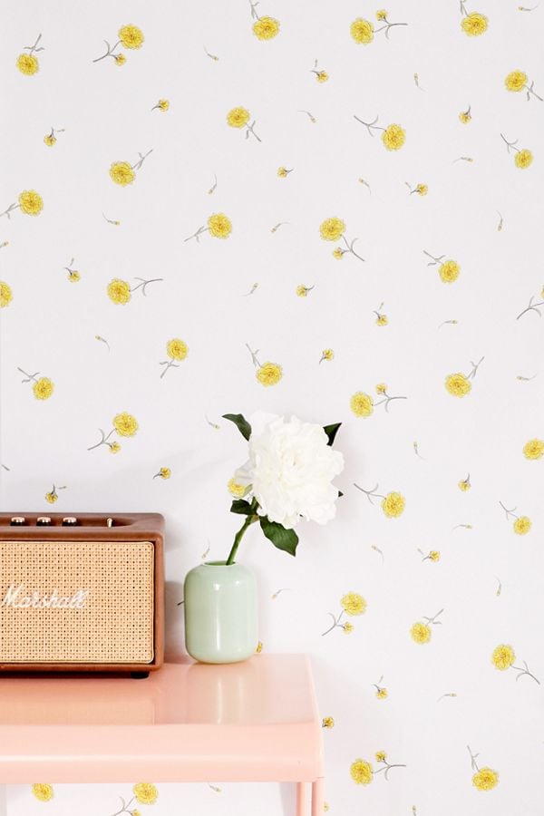 Urban Outfitters - HD Wallpaper 