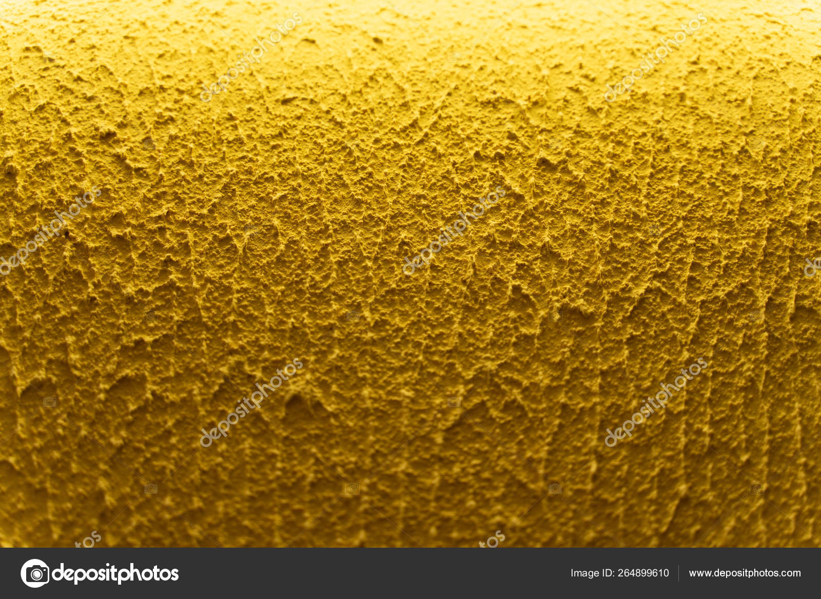 Macro Photography - HD Wallpaper 