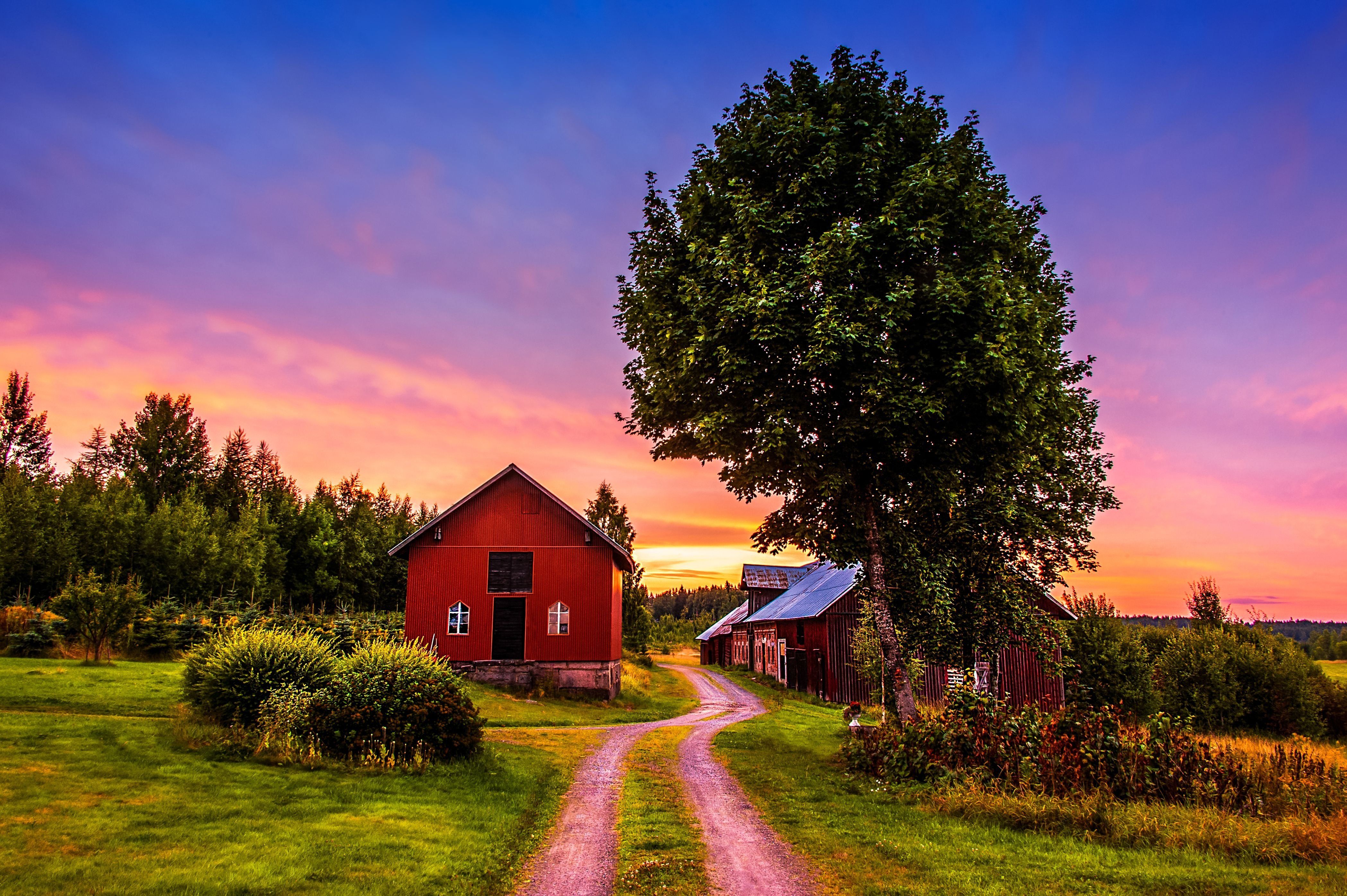 Sunset Trees Road Home Landscape Rustic Farm House - Paisaje De La Granja - HD Wallpaper 