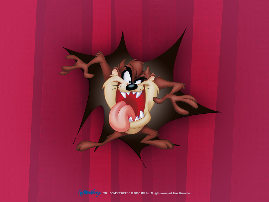 Looney Tunes Taz - Taz Fondos De Pantalla - HD Wallpaper 