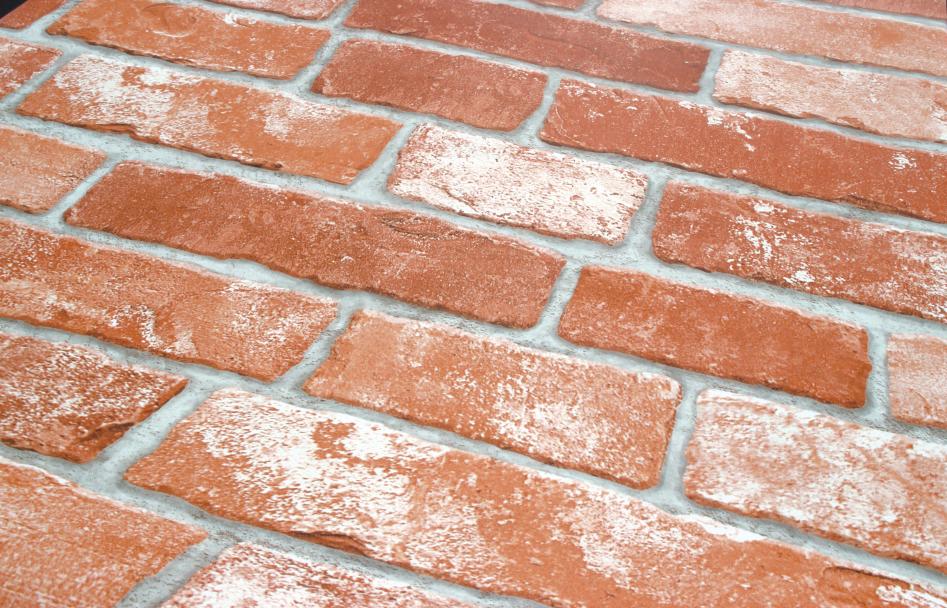 Wallpaper - HD Wallpaper 