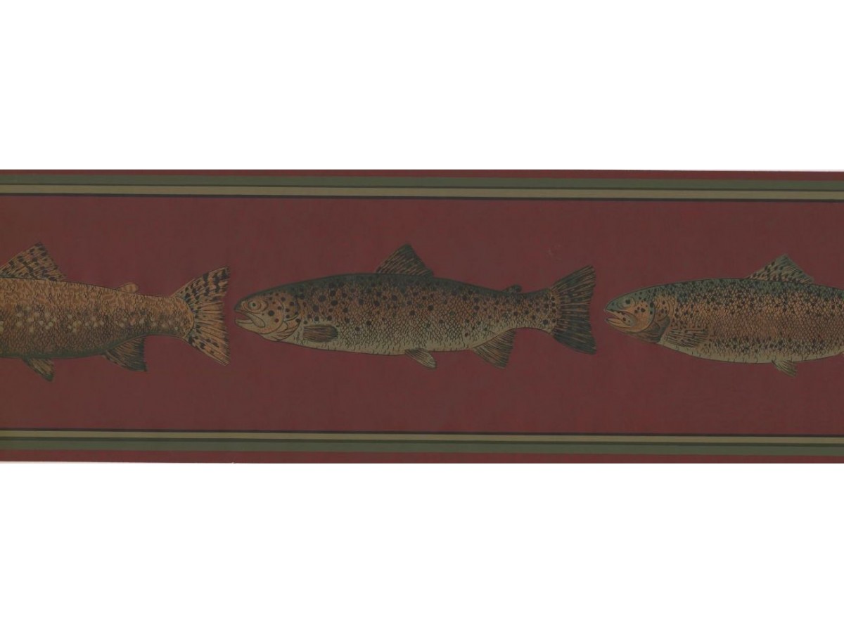 Trout - 1200x900 Wallpaper - teahub.io