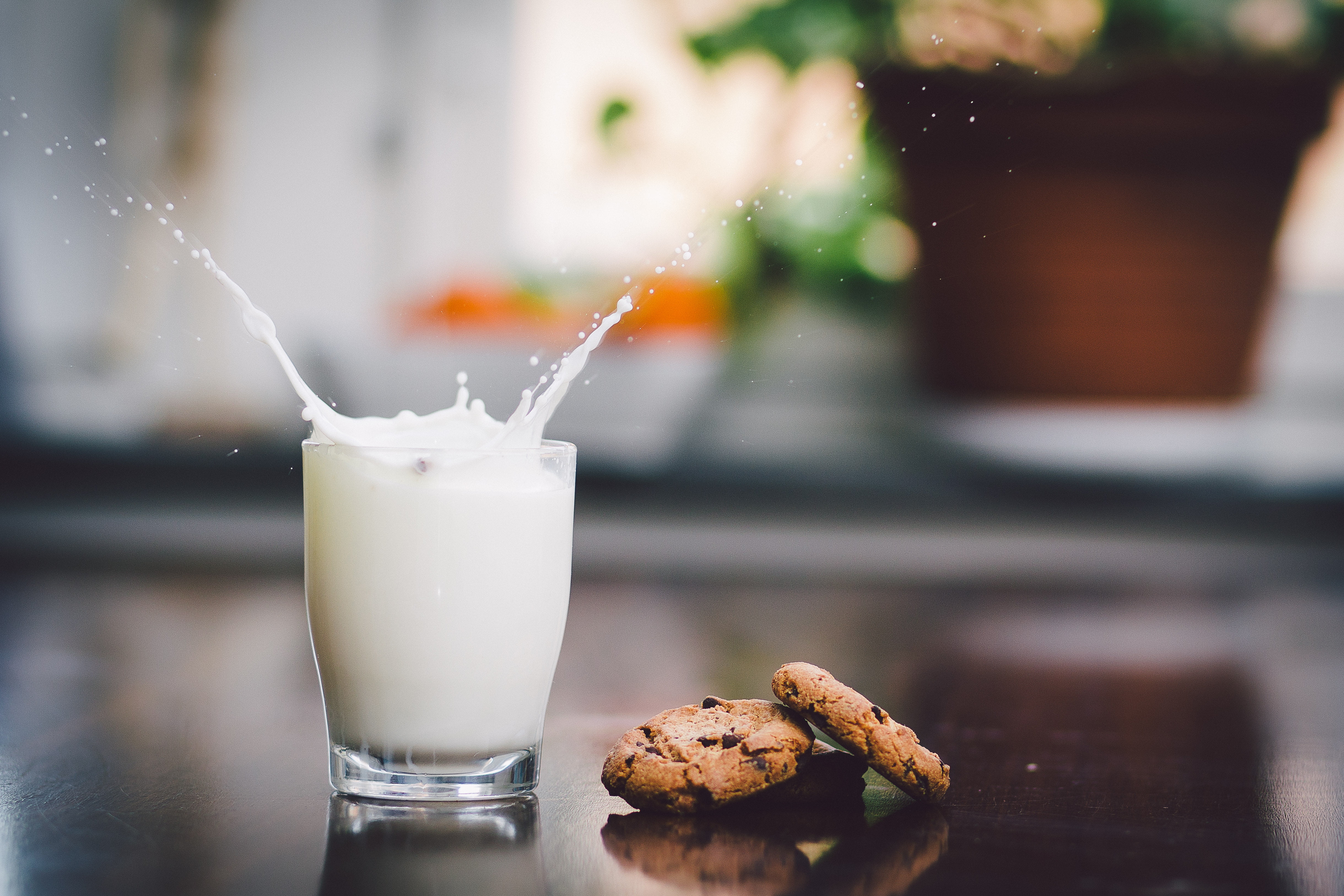 Milk Good Night Bed - 4879x3253 Wallpaper Milk Good Night Bed - 4879x3253 Wallpaper