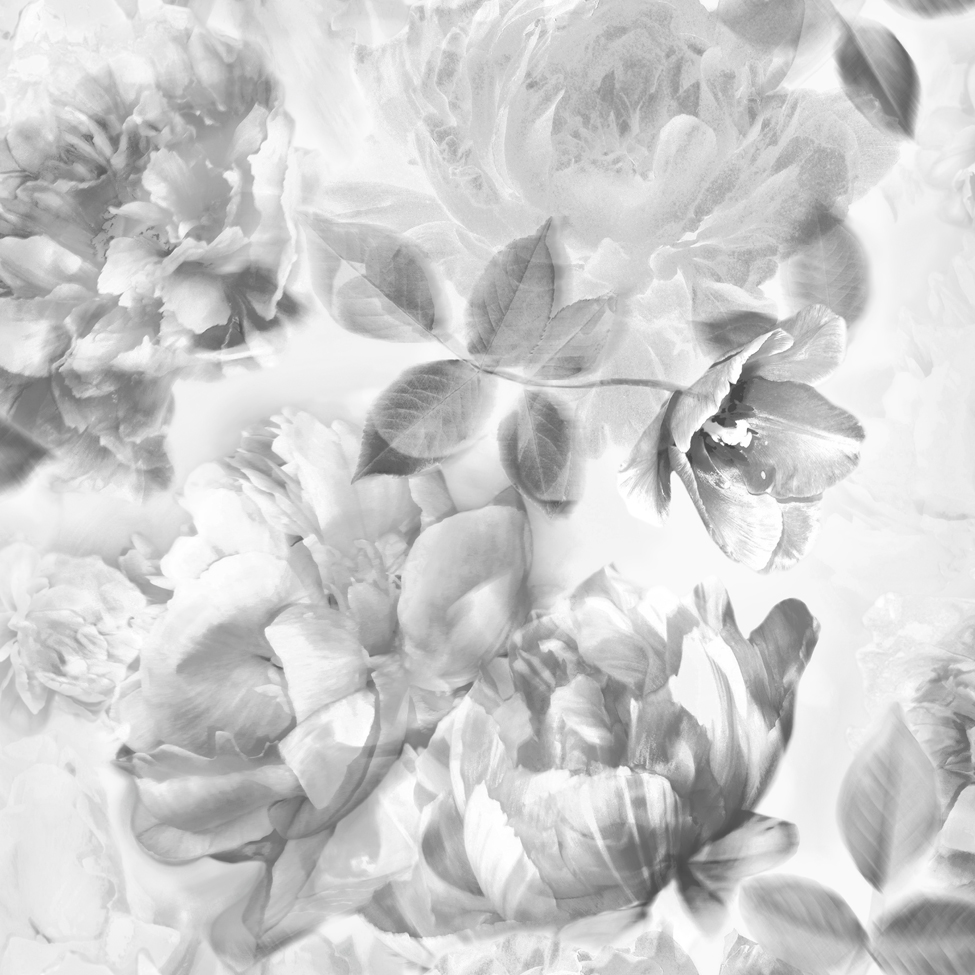 Lipsy Translucent Bloom Grey - HD Wallpaper 