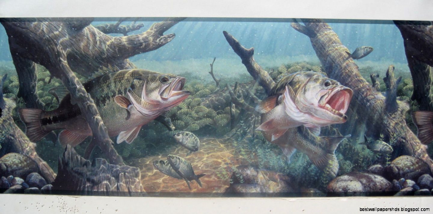Bass Fishing Fresh Water Fishing Wallpaper Border 9 - Bass - HD Wallpaper 