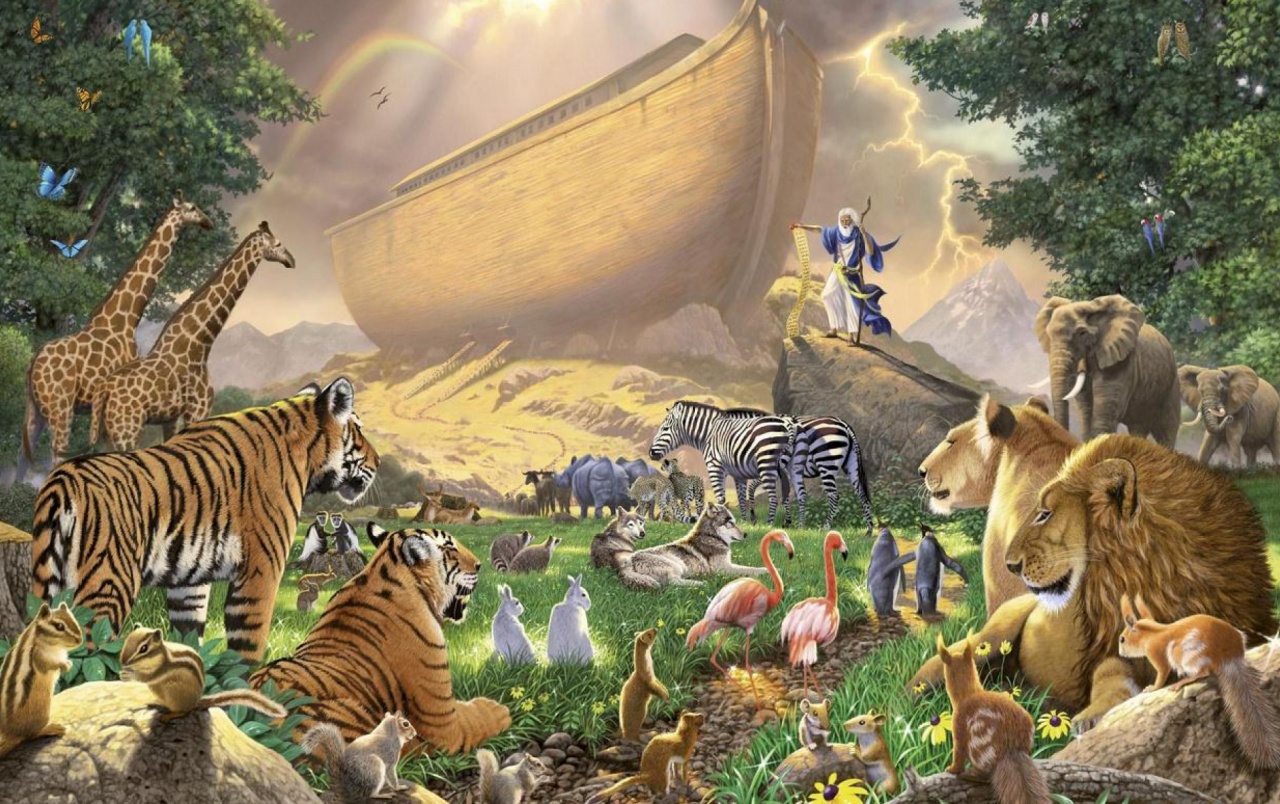 Noahs Ark Six Wallpapers - Noah's Ark Puzzle - HD Wallpaper 