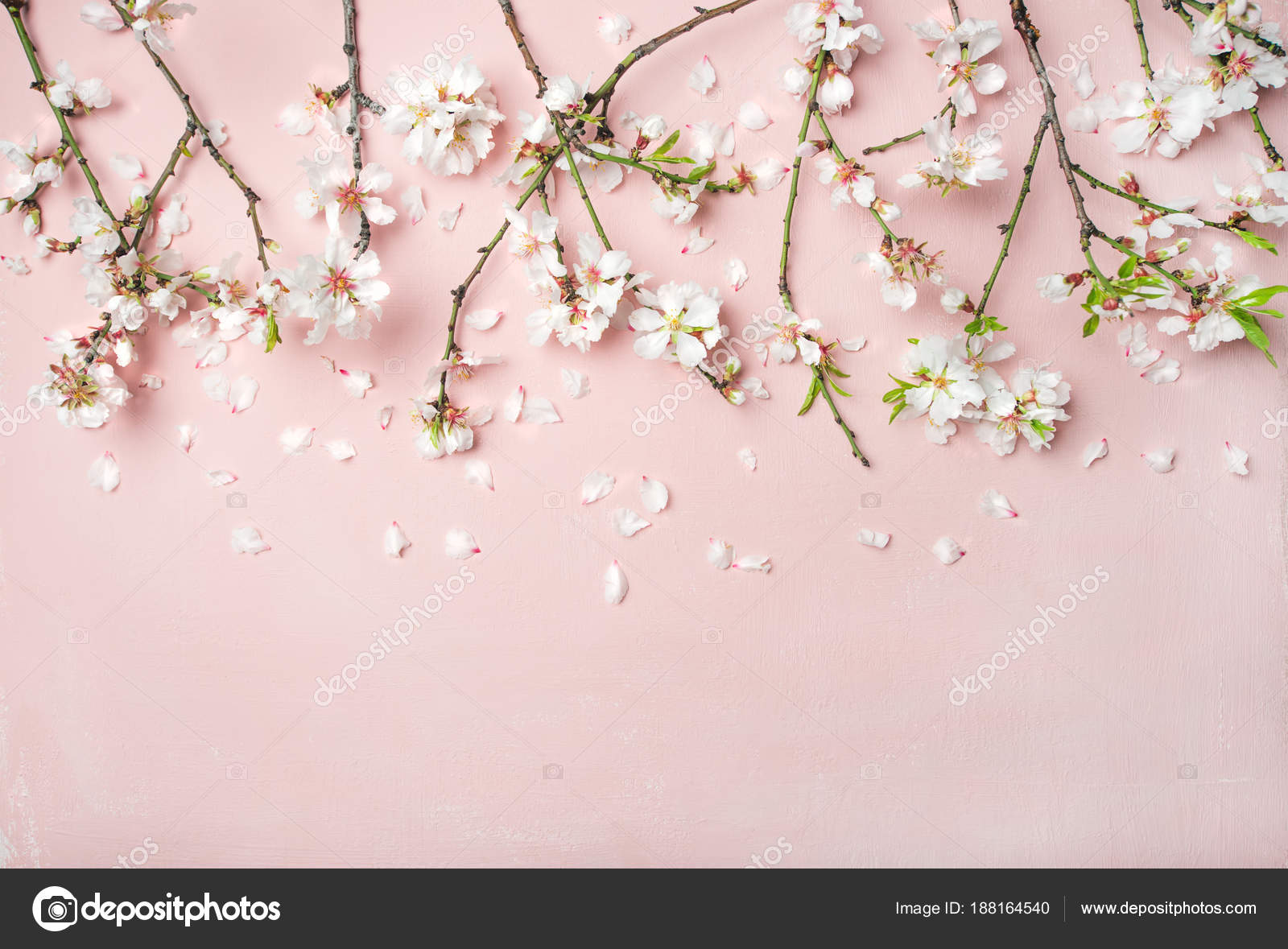 Pink Flower Background Square - HD Wallpaper 