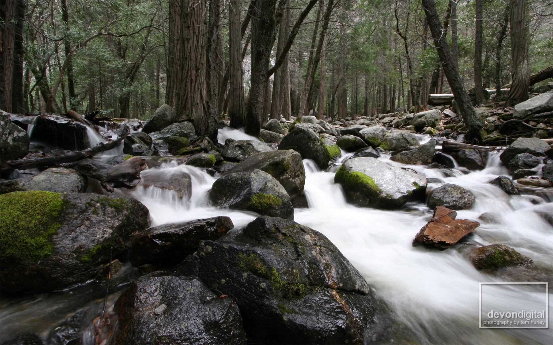 Californian Mountain Stream - 1440 By 1200 Pixels - HD Wallpaper 
