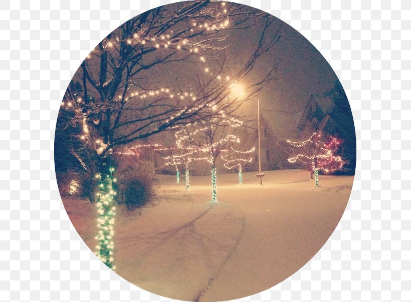 Desktop Wallpaper Stock Photography Computer Tableware, - Christmas Tree - HD Wallpaper 